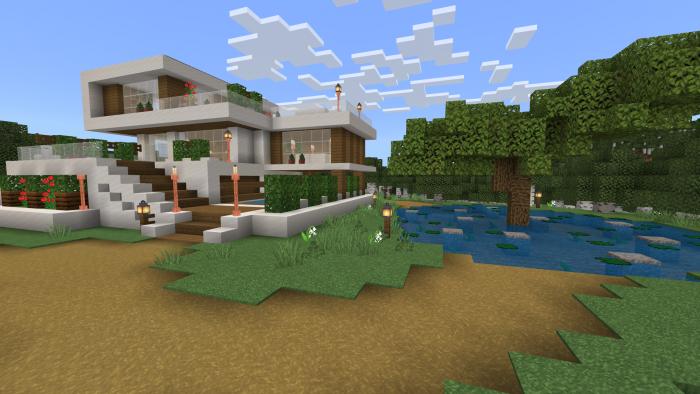Modern House 6