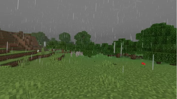 Realistic Rain