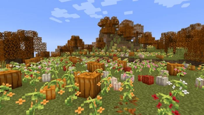 PixPerfect's Hearty Harvest