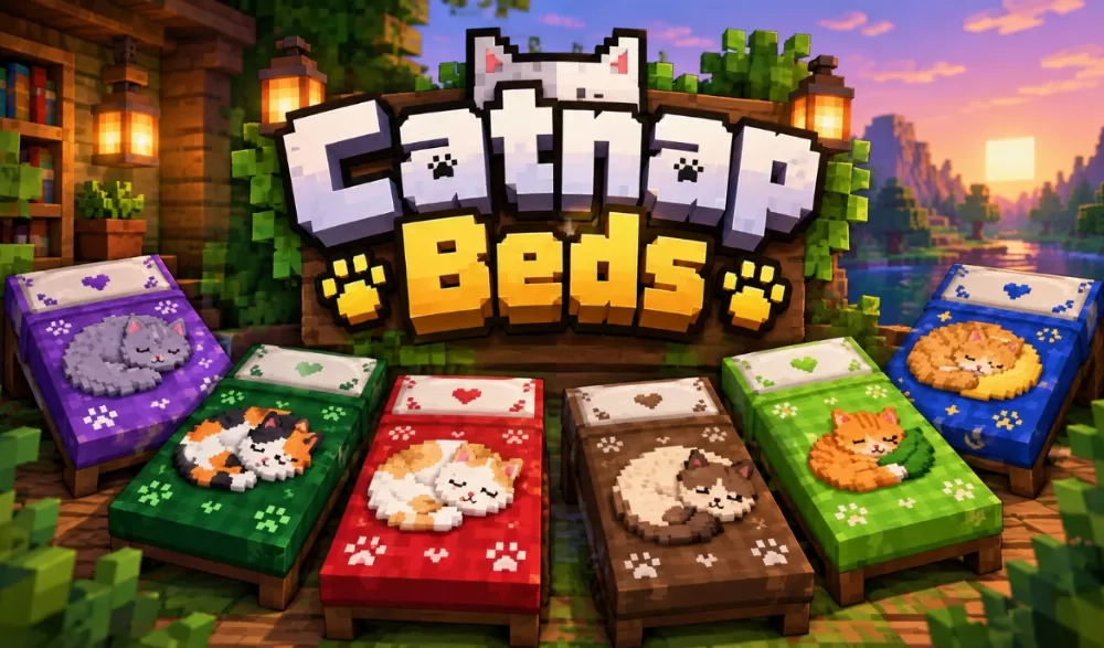 Catnap Beds Textures