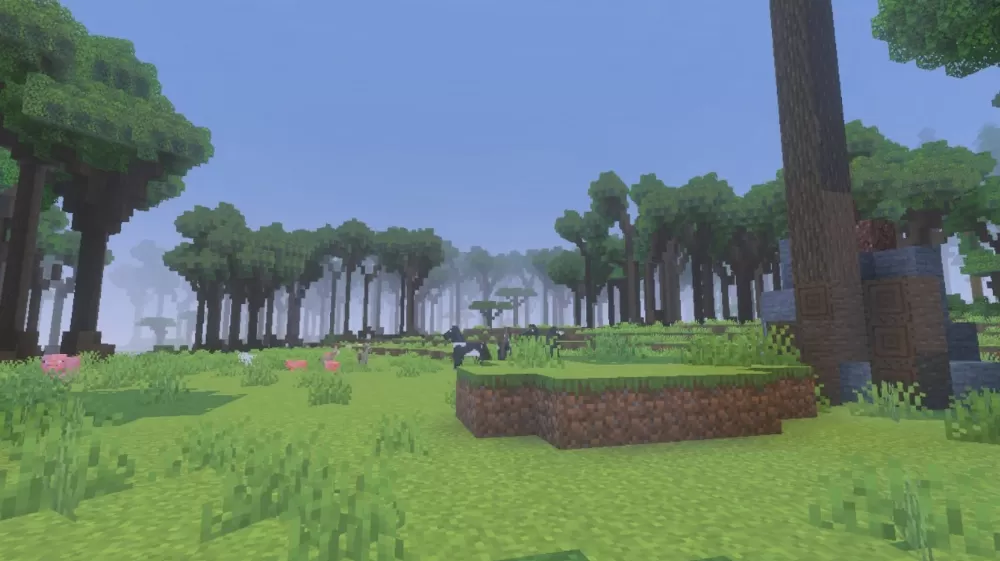 The Giant Curse Forest Map