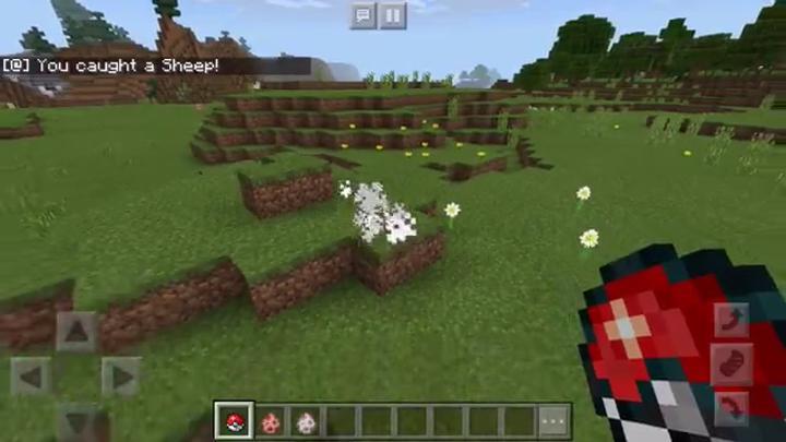 Poke Balls (Command Blocks)