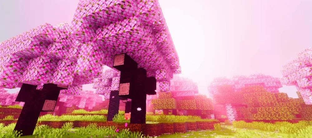 Zyra Visuals Textures