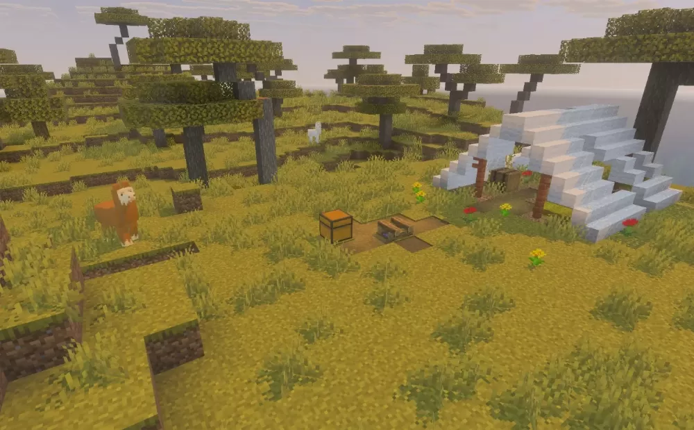 Isolated Island with Abandoned Camp Seed