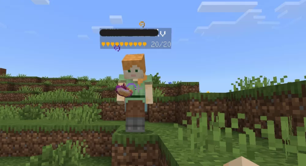 Heart Display Mod 