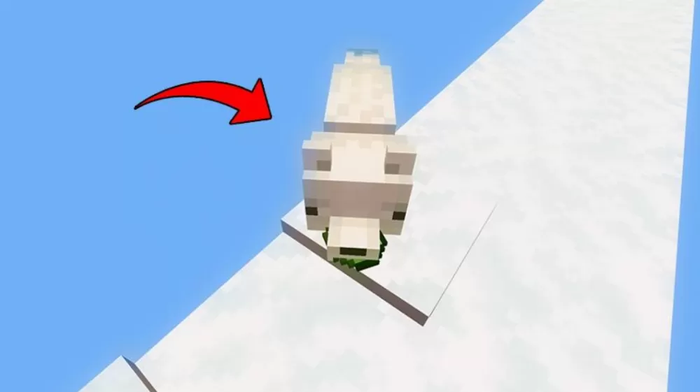 One Block Survival Map