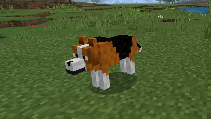Zoocraft Addon