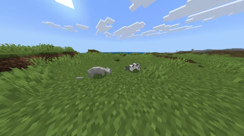 Cat Fighting Mod