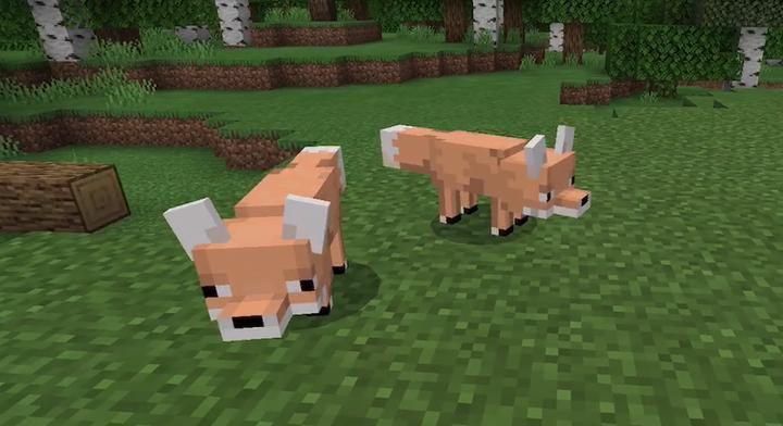 Zoocraft Addon