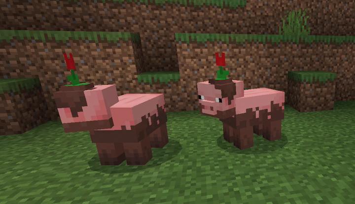 Zoocraft Addon