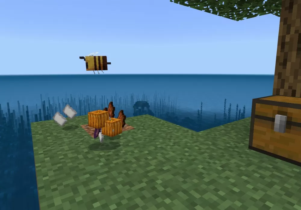 LuckyWaterIsland