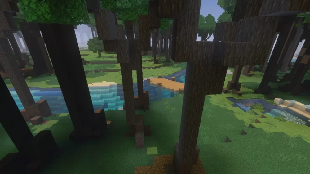 The Giant Curse Forest Map