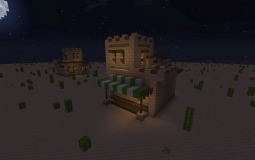 desert styled house #1