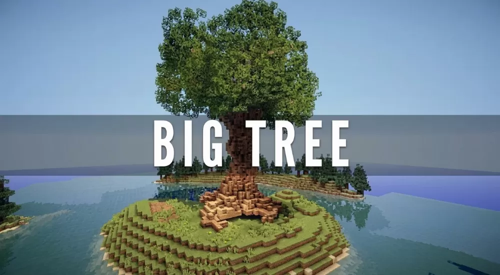 Big Tree schematic - building
