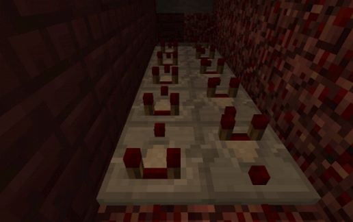 Natural Blaze Farm (Survival) schematic - building