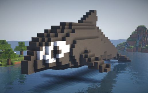 Dolphin schematic - building