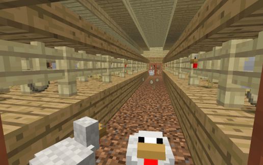 Contemporary House 04 - Egg Farm