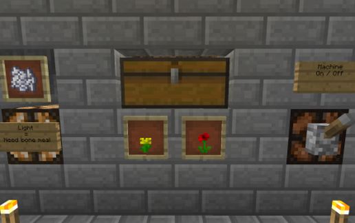 Flower farm
