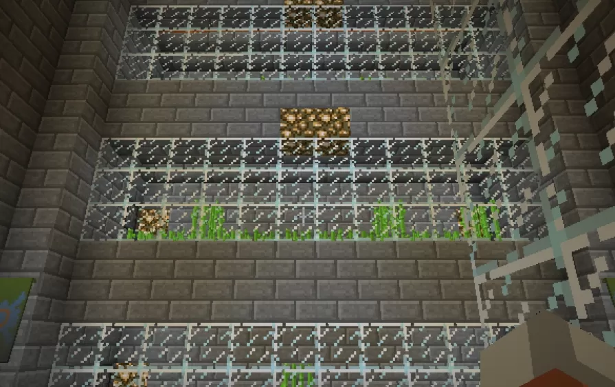 Sugarcane Farm