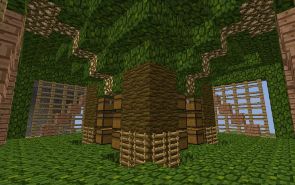Cocoa Bean Farm