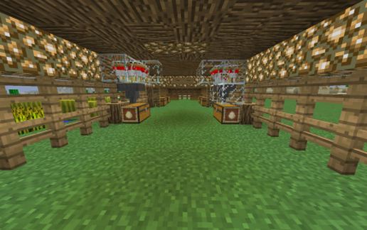Ultimate Automatic Egg Farm