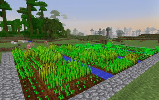 Basic Farm schematic - building