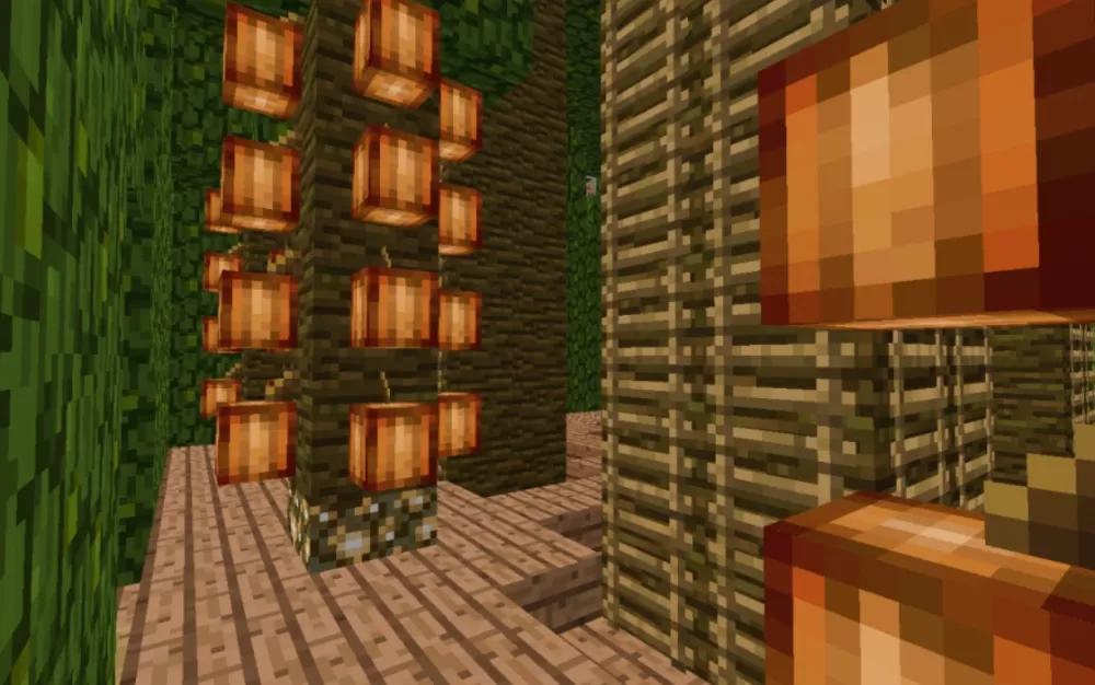 Cocoa Bean Farm
