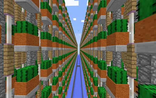 Most Efficient Cactus Farm