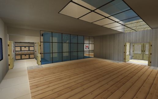 20x20 Modern House