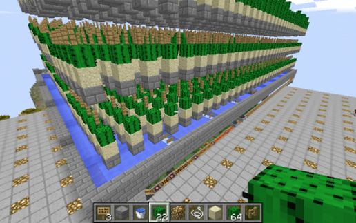 Cactus Farm