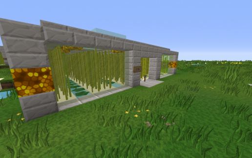 Sugar Cane Farm schematic - building