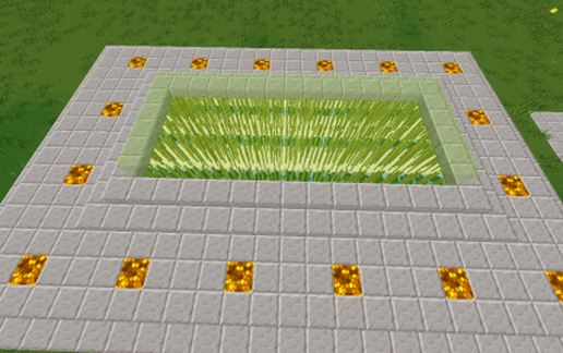 Sugar Cane Farm