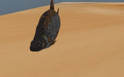 Rudd Fish