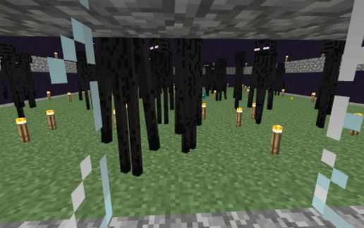 Super Efficient Enderman Farm