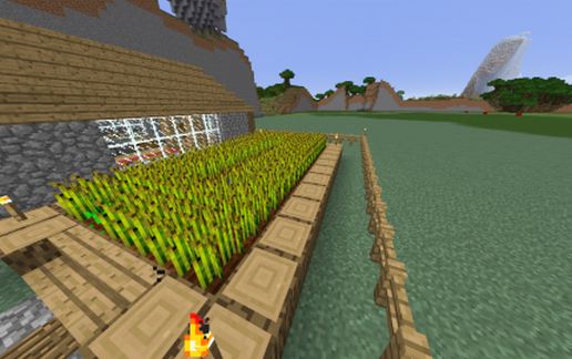 Perfect Starter House (For Survival)