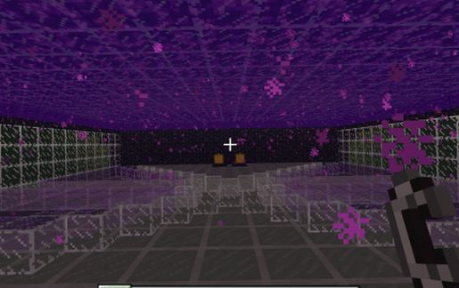 Biggest Possible Nether Portal
