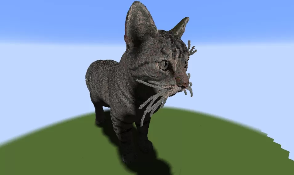 Real Cat