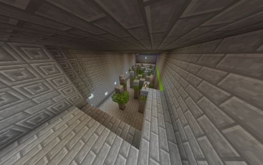 Maze  "The Bear"