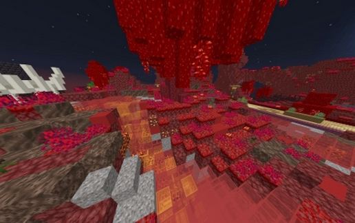 Nether Plot
