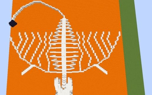 Charizard Skeleton schematic - building