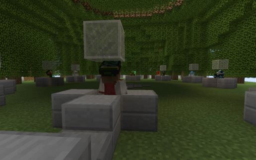 Hunger Games themed pvp start schematic - building