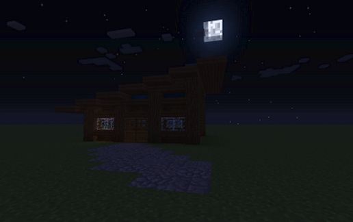 small survival house