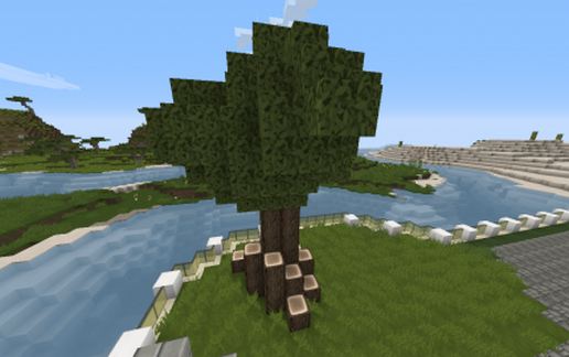 Big tree schematic - building