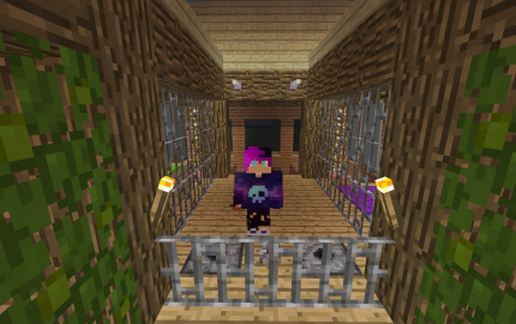 house noob