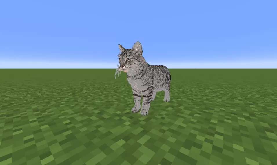 Real Cat