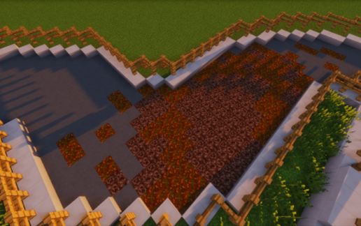 Racetrack of Pigs